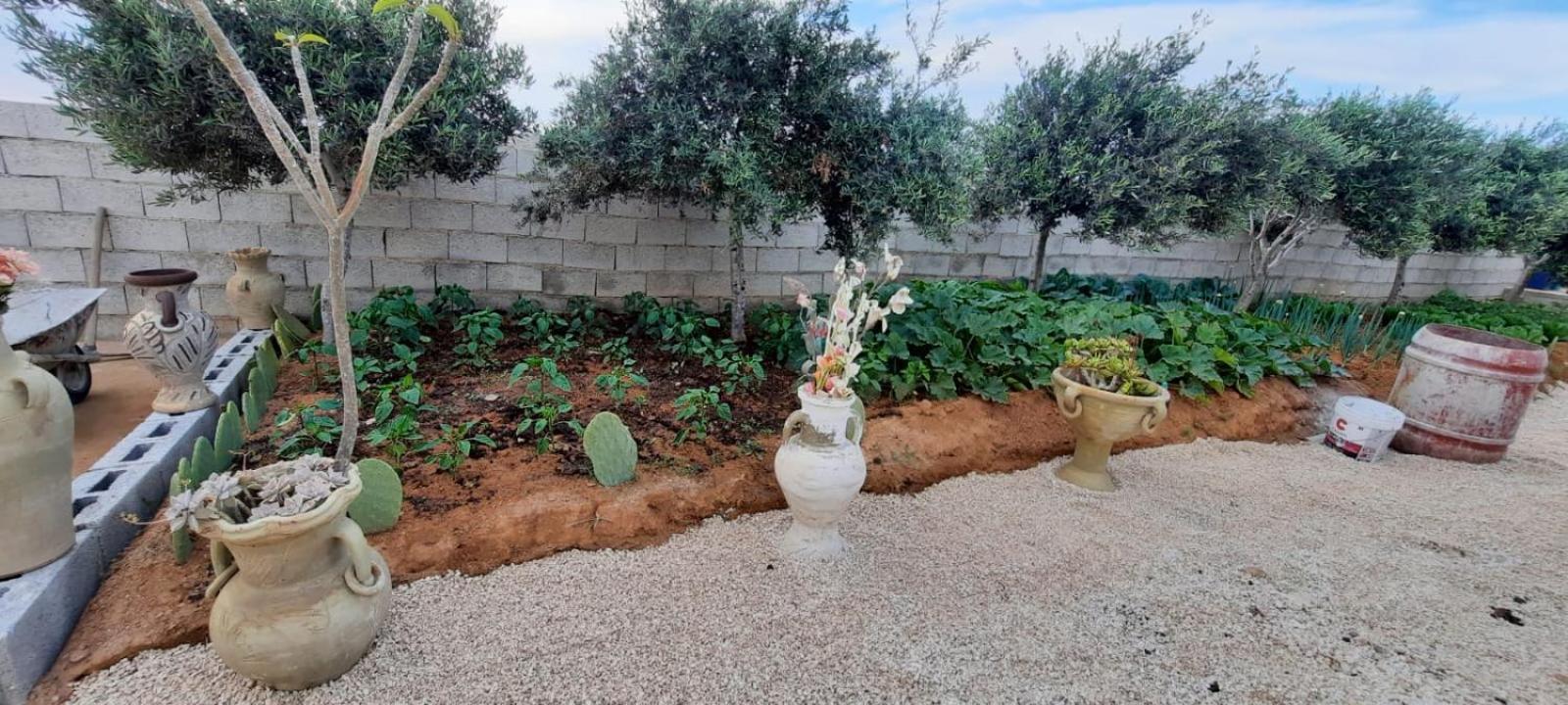 Mission Relax 4 Villa Lampedusa Exterior photo
